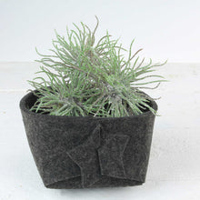 Lade das Bild in den Galerie-Viewer, Filzschale dunkelgrau 3er Set