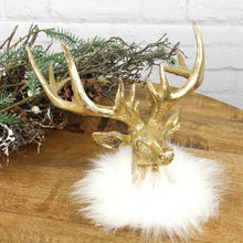 Lade das Bild in den Galerie-Viewer, Hirschkopf mit Fell Gold Weiß groß