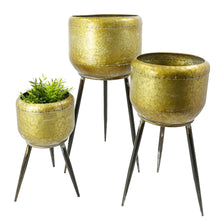 Lade das Bild in den Galerie-Viewer, Pflanztopf 3-Set Metall, rund, golg gebürstet auf Metallfüßen
