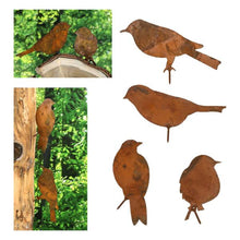 Lade das Bild in den Galerie-Viewer, Vögel -Rost 4er Set mit Schraube zum eindrehen