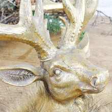 Lade das Bild in den Galerie-Viewer, Hirschkopf Gold mit braunem Fellkragen 25 cm