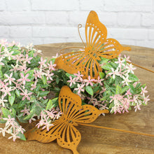 Lade das Bild in den Galerie-Viewer, 2er Set Gartenstecker Schmetterling Metall Rost