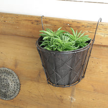 Lade das Bild in den Galerie-Viewer, Balkontopf mit Einsatz