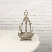 Lade das Bild in den Galerie-Viewer, Pflanz-Krone, Pflanzkorb