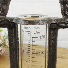 Lade das Bild in den Galerie-Viewer, Regenmesser Vögel, Metall schwarz