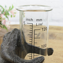 Lade das Bild in den Galerie-Viewer, Regenmesser Frosch, Metall schwarz