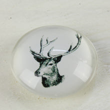 Lade das Bild in den Galerie-Viewer, Magnet Set Hirsch 3D