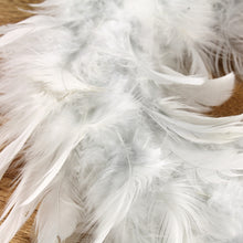 Lade das Bild in den Galerie-Viewer, Federkranz Hellgrau 25 cm