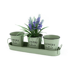 Lade das Bild in den Galerie-Viewer, 3er Pflanztöpfe auf Tablett Lindgrün