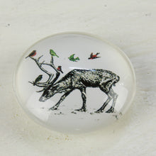 Lade das Bild in den Galerie-Viewer, Magnet Set Hirsch 3D