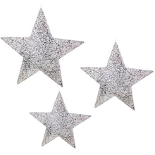Lade das Bild in den Galerie-Viewer, 3er Set Sisalsterne Silber vers. Größen
