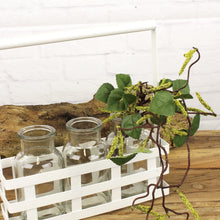 Lade das Bild in den Galerie-Viewer, 3 Vasen im Metallkorb Weiß