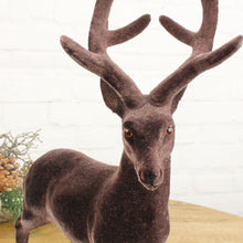 Lade das Bild in den Galerie-Viewer, Hirsch Braun samt 32