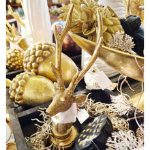 Lade das Bild in den Galerie-Viewer, Hirschbüste Gold mit Fell 23 cm