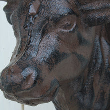 Lade das Bild in den Galerie-Viewer, Wandhaken Stier