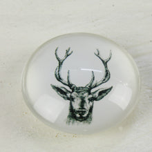 Lade das Bild in den Galerie-Viewer, Magnet Set Hirsch 3D