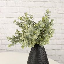 Lade das Bild in den Galerie-Viewer, Eukalyptus-Zweig