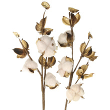 Lade das Bild in den Galerie-Viewer, Baumwoll-Zweig, 2er SET mit je 3 Blüten