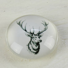 Lade das Bild in den Galerie-Viewer, Magnet Set Hirsch 3D