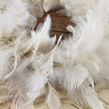 Lade das Bild in den Galerie-Viewer, Federkranz Beige 25 cm