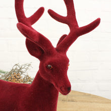 Lade das Bild in den Galerie-Viewer, Hirsch stehend Rot samt 32 cm