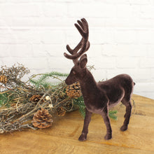 Lade das Bild in den Galerie-Viewer, Hirsch Braun samt 32