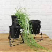 Lade das Bild in den Galerie-Viewer, Blumentopf, schwarz,Metall, 3-er Set
