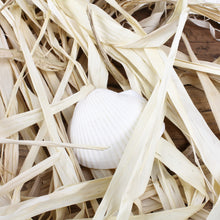 Lade das Bild in den Galerie-Viewer, Maritime Wanddeko mit Muscheln