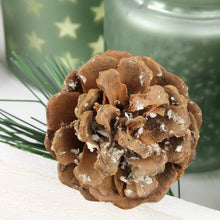 Lade das Bild in den Galerie-Viewer, Teelichthalter 4St., Glas auf Holzplatte, mit Zweigen + Tannenzapfen, grün matt