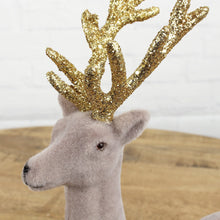 Lade das Bild in den Galerie-Viewer, Hirsch Samt Beige Gold 18 oder 23 cm