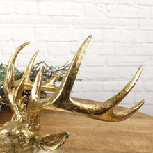 Lade das Bild in den Galerie-Viewer, Hirschkopf mit Fell Gold Weiß groß