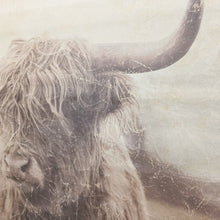 Lade das Bild in den Galerie-Viewer, Wandbild Wanddeko Highland Rind Vintage Pergamentpapier 75 x 55 cm
