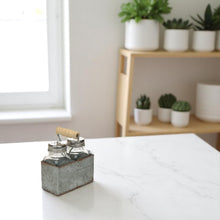 Lade das Bild in den Galerie-Viewer, Salz- und Pfefferstreuer im Halter Metall Silber Zink Rustikal Landhausstil Salzstreuer Glas
