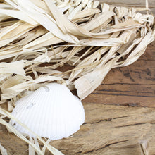 Lade das Bild in den Galerie-Viewer, Maritime Wanddeko mit Muscheln
